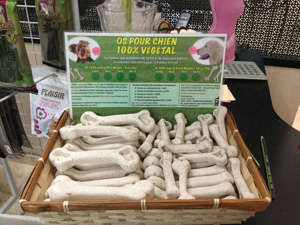 légance canine-16
